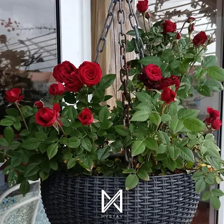 דירה Mystay - Casa Sete Lano Pedrogao (Leiria)