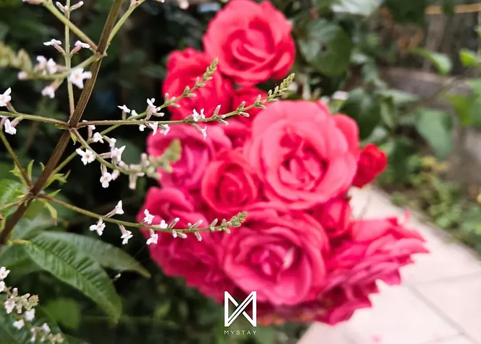 Mystay - Casa Sete Lano Pedrogao (Leiria)