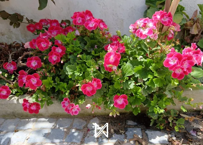 Mystay - Casa Sete Lano Apartament *