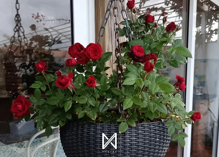 Appartamento Mystay - Casa Sete Lano Pedrogao (Leiria)